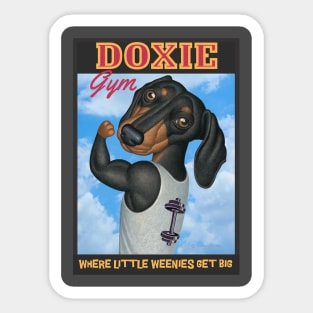 Cute Doxie at the gym where little weenies get big Sticker